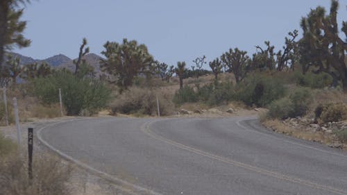 Vehicle On The Road