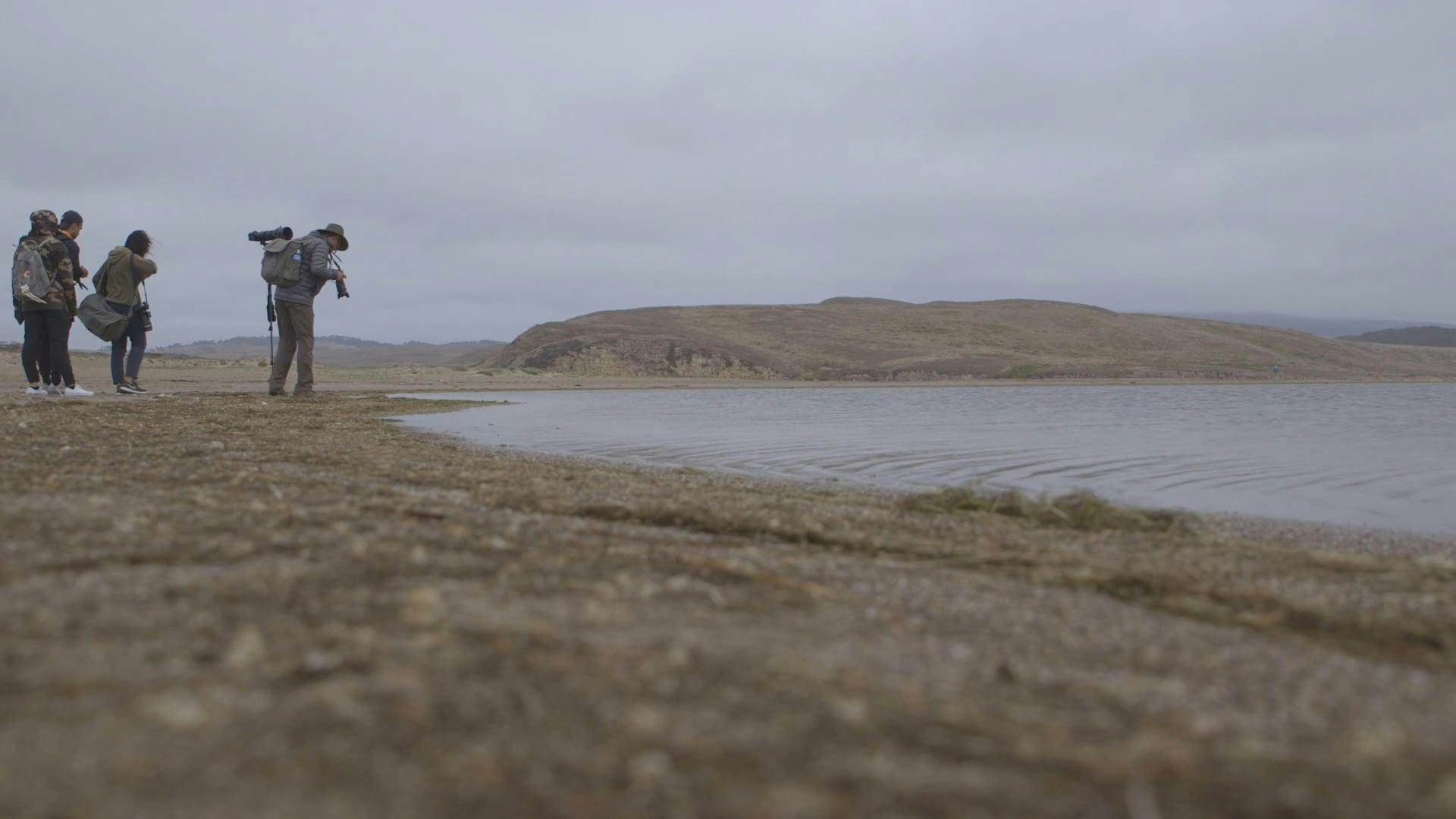 Video by Athena Sandrini