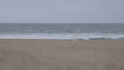 Video De La Orilla Del Mar Durante El Día