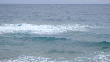 slow motion footage of a school of dolphins swimming close to shallow waters