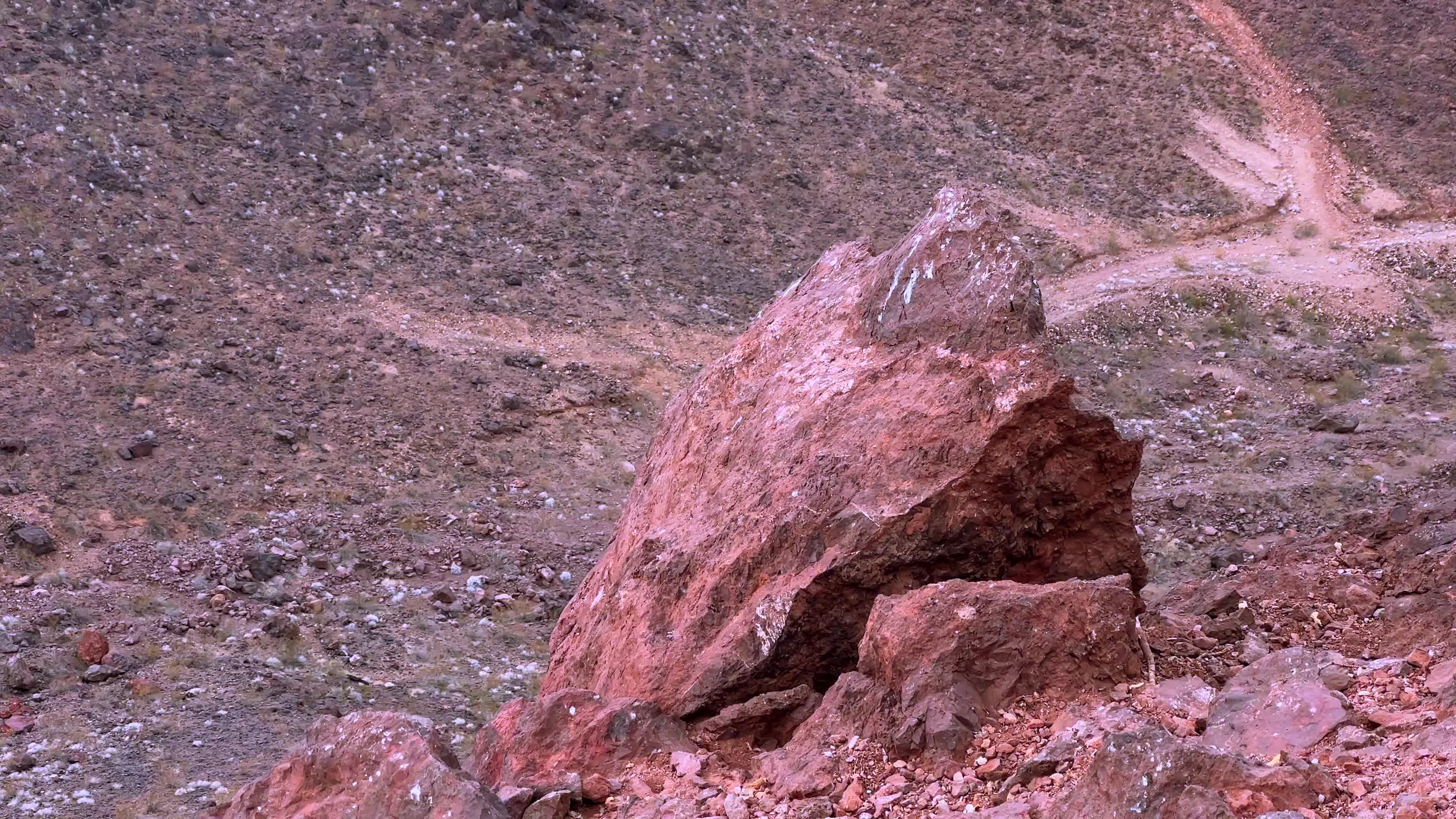 Old Bible Discovered Among Desert Rocks Free Stock Video Footage ...