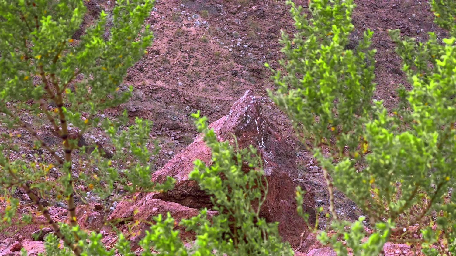 Dark Red Rocks Videos, Download The BEST Free 4k Stock Video Footage ...