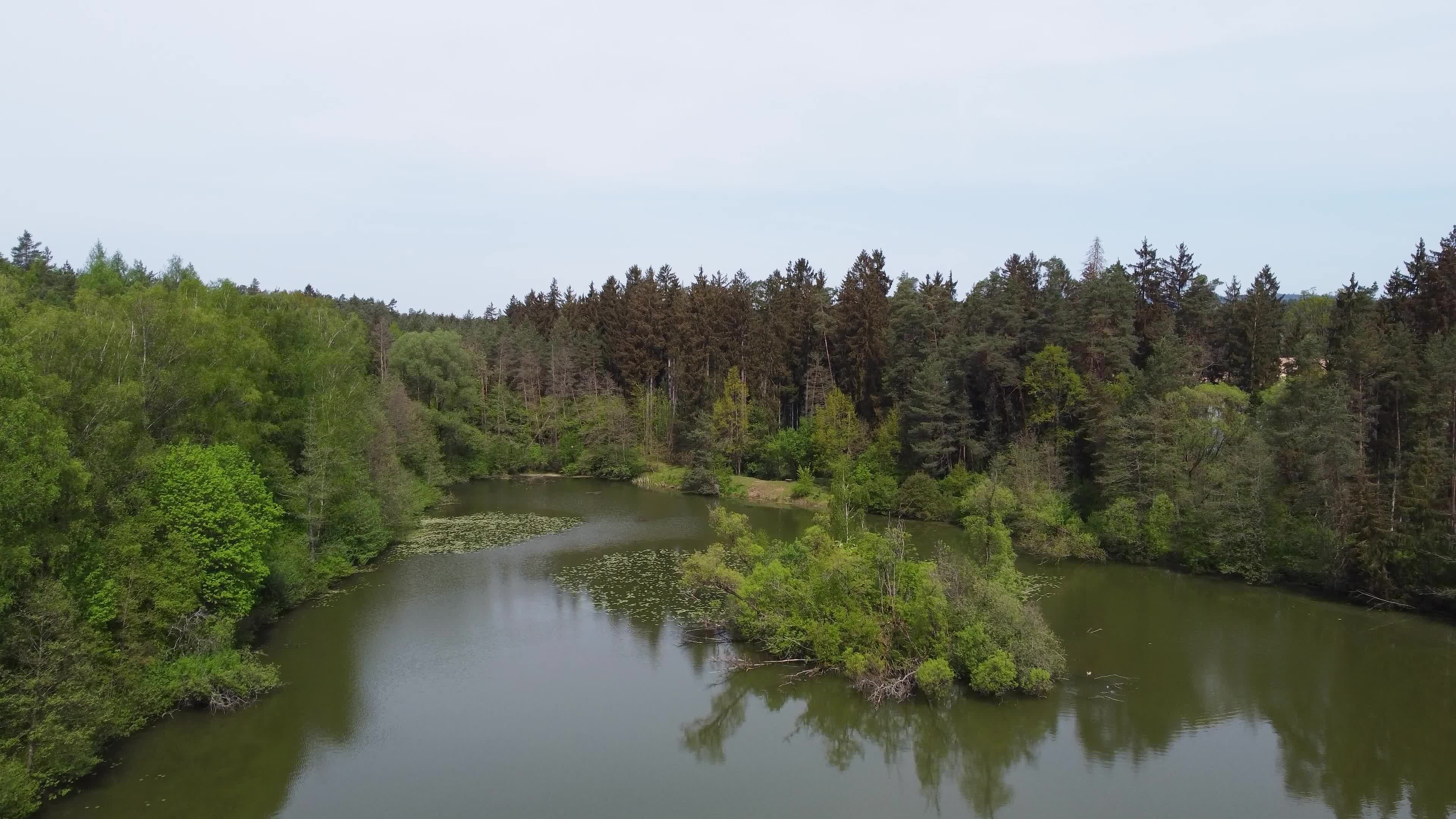 Scenic Aerial View of Tranquil Forest Lake Free Stock Video Footage ...
