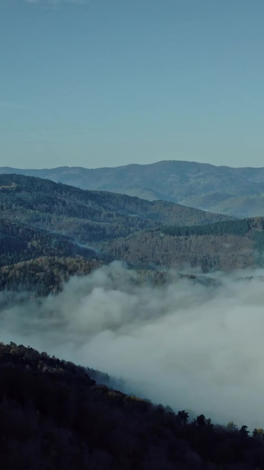 Aerial View of Misty Mountain Landscape Free Stock Video Footage ...