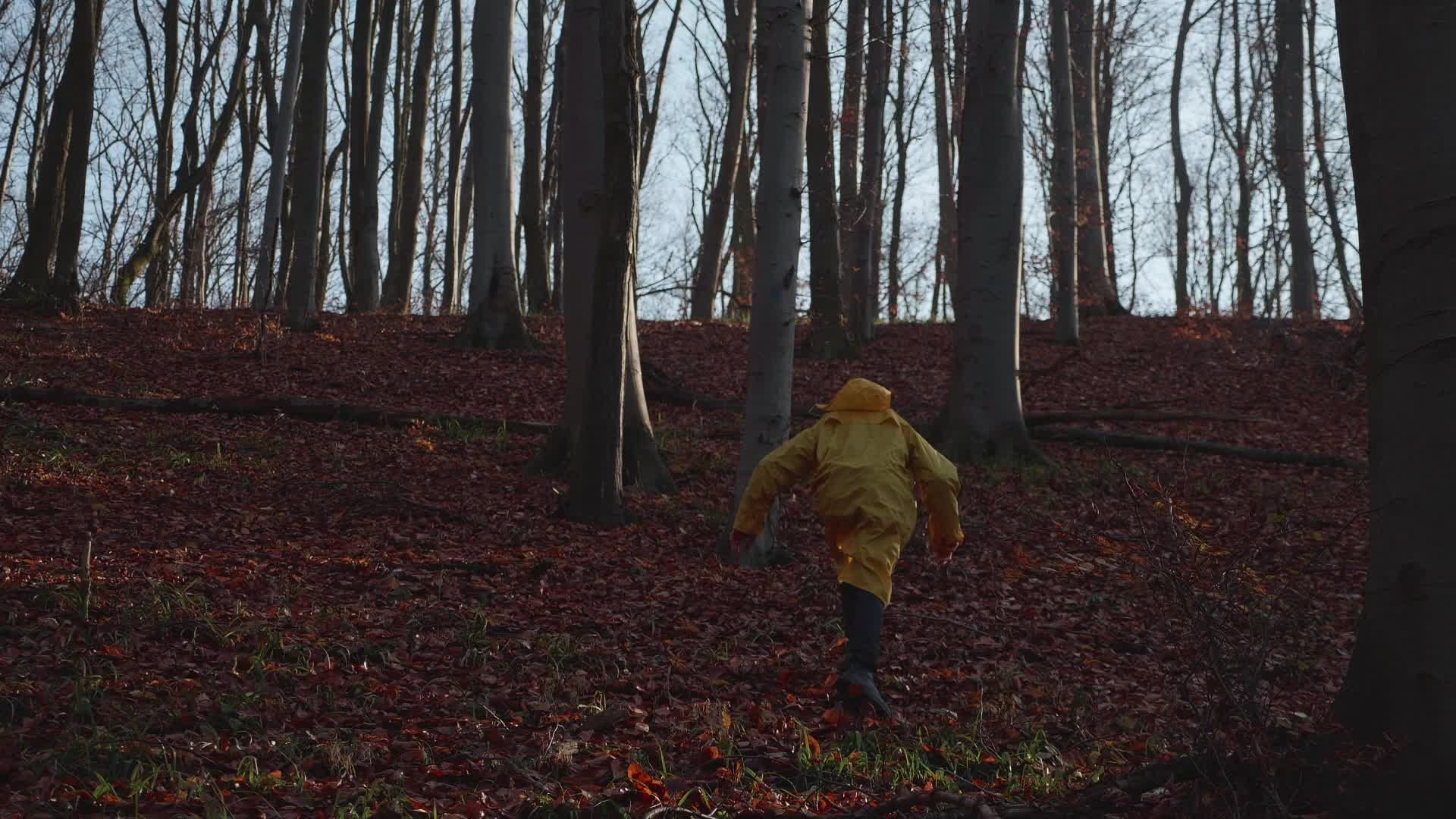 Person in Yellow Raincoat Walking Through Forest Free Stock Video ...
