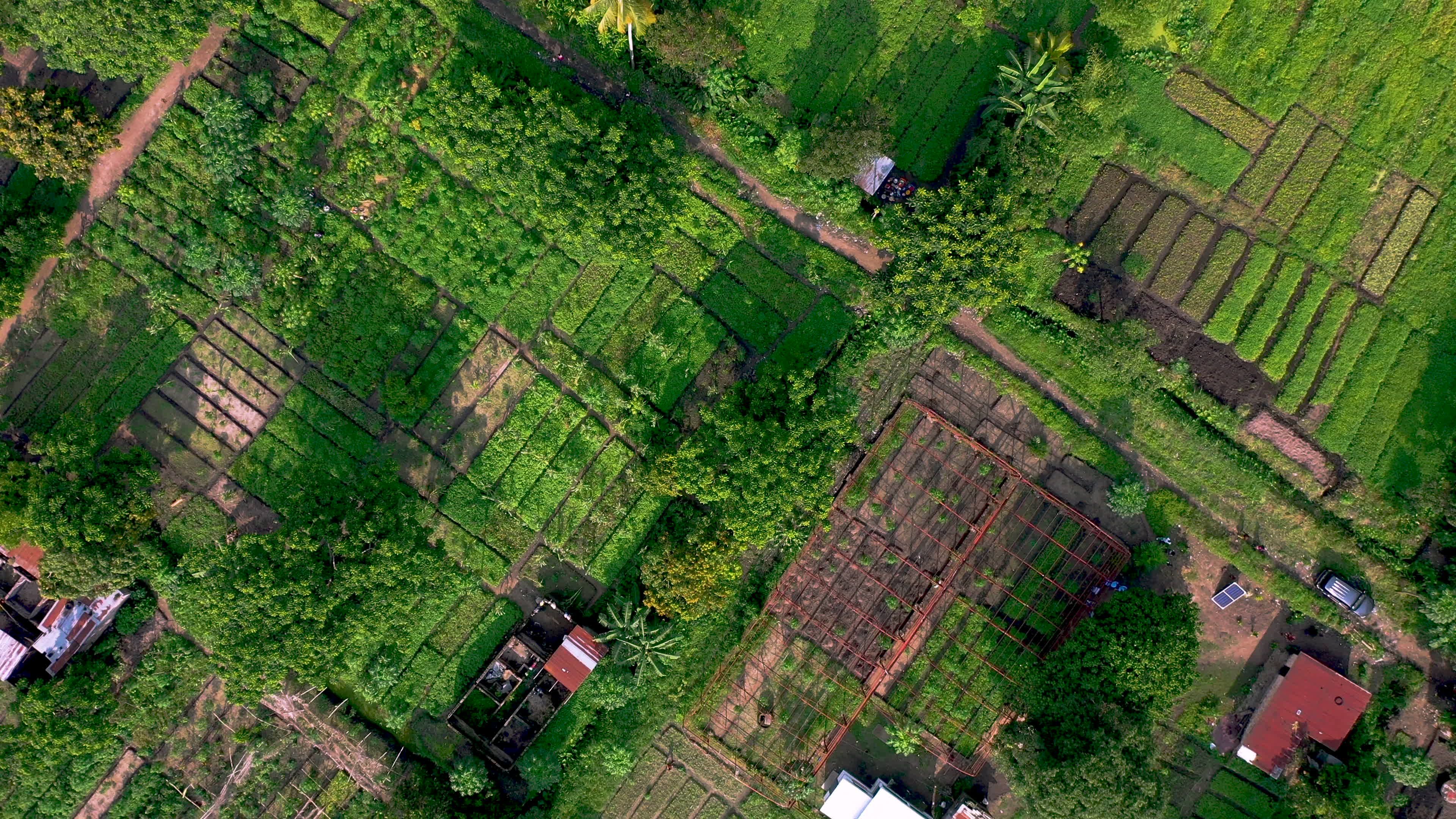 Aerial View of Lush Green Farmland Landscape Free Stock Video Footage ...