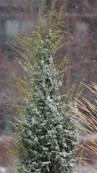 下雪高清视频视频素材