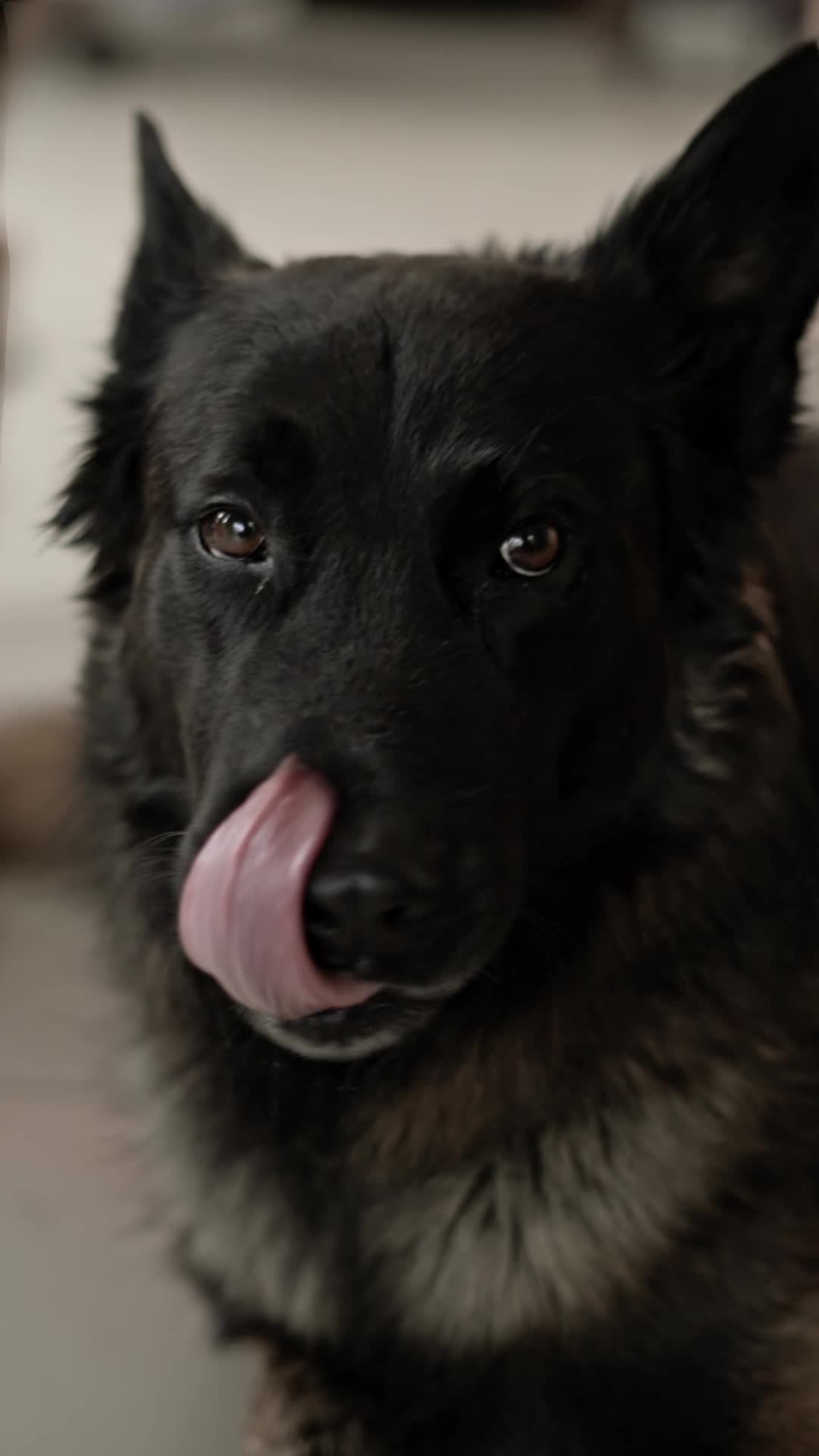 Pexels Video 30213272