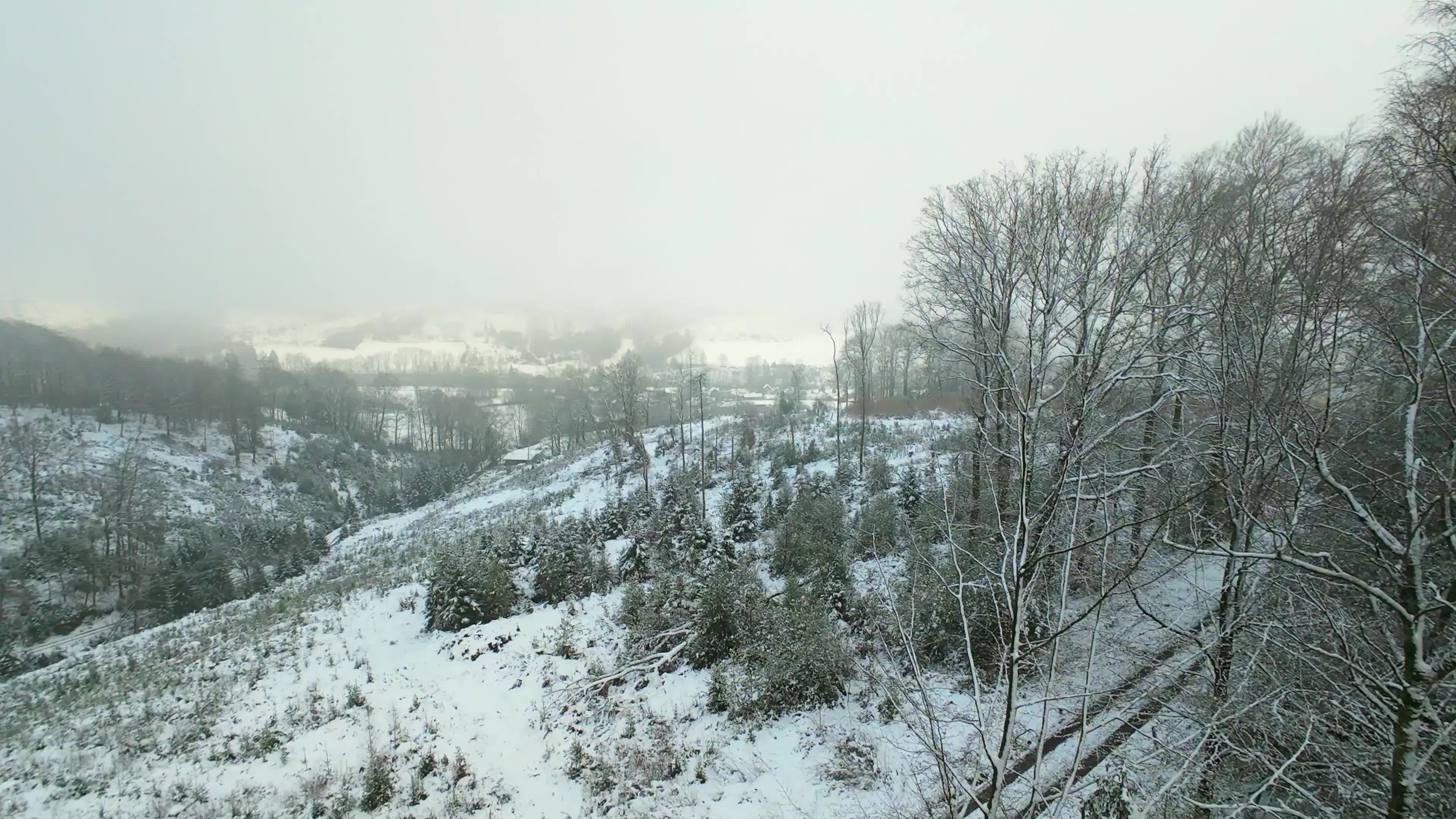 Serene Winter Aerial View of Snowy Forest Path Free Stock Video Footage ...