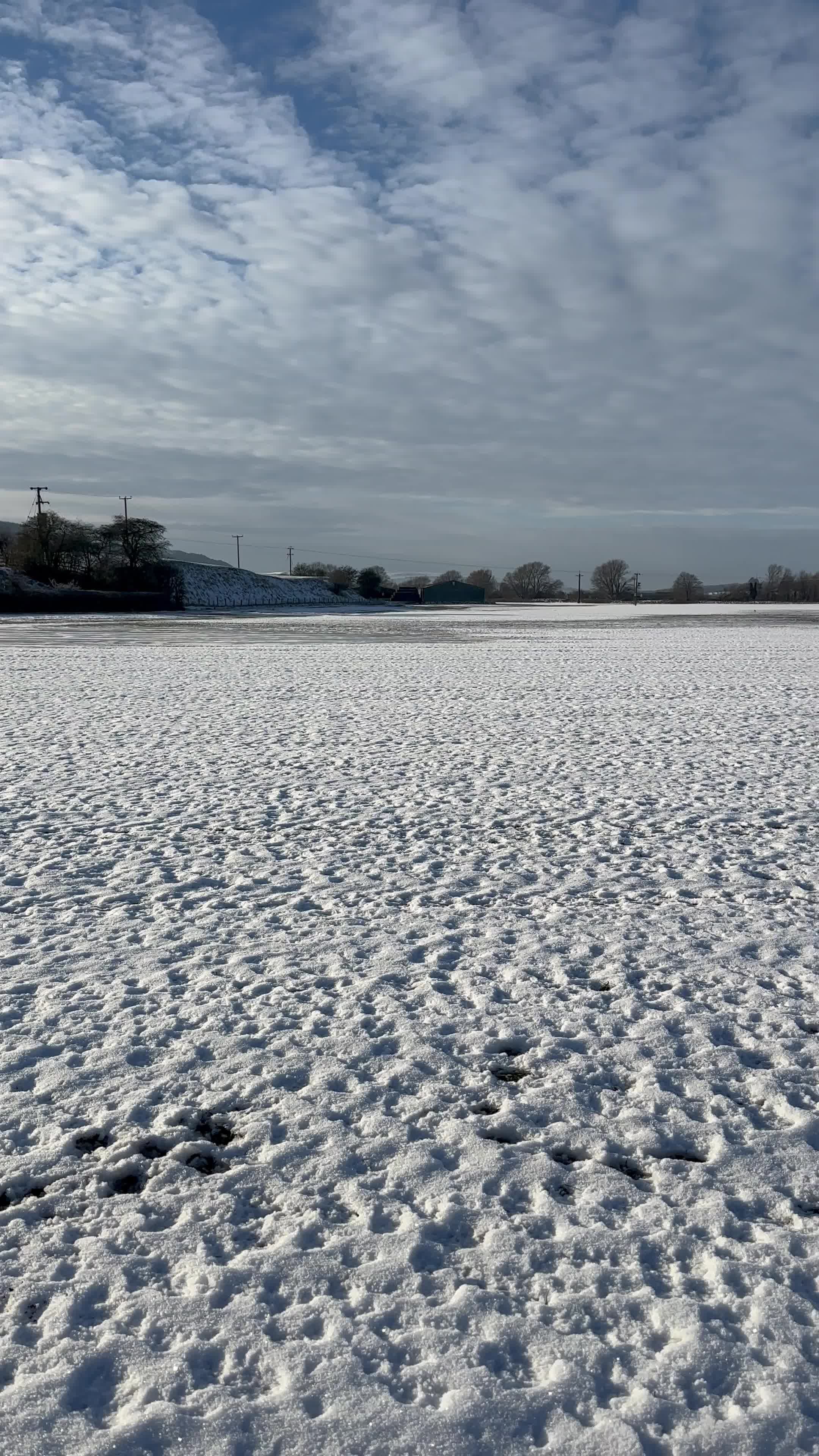 Snowy Field Under Clear Blue Sky Free Stock Video Footage, Royalty-Free ...