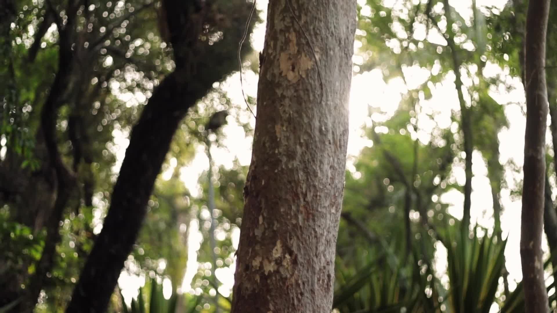 Life Realisation Videos, Download The BEST Free 4k Stock Video Footage ...