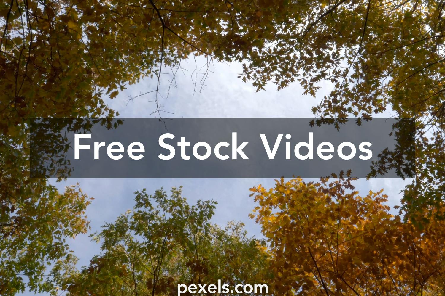 Past Videos, Download The BEST Free 4k Stock Video Footage & Past HD ...