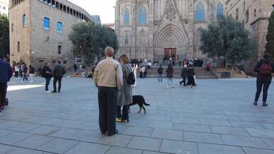 exploring barcelona cathedral s vibrant courtyard