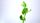 sprout