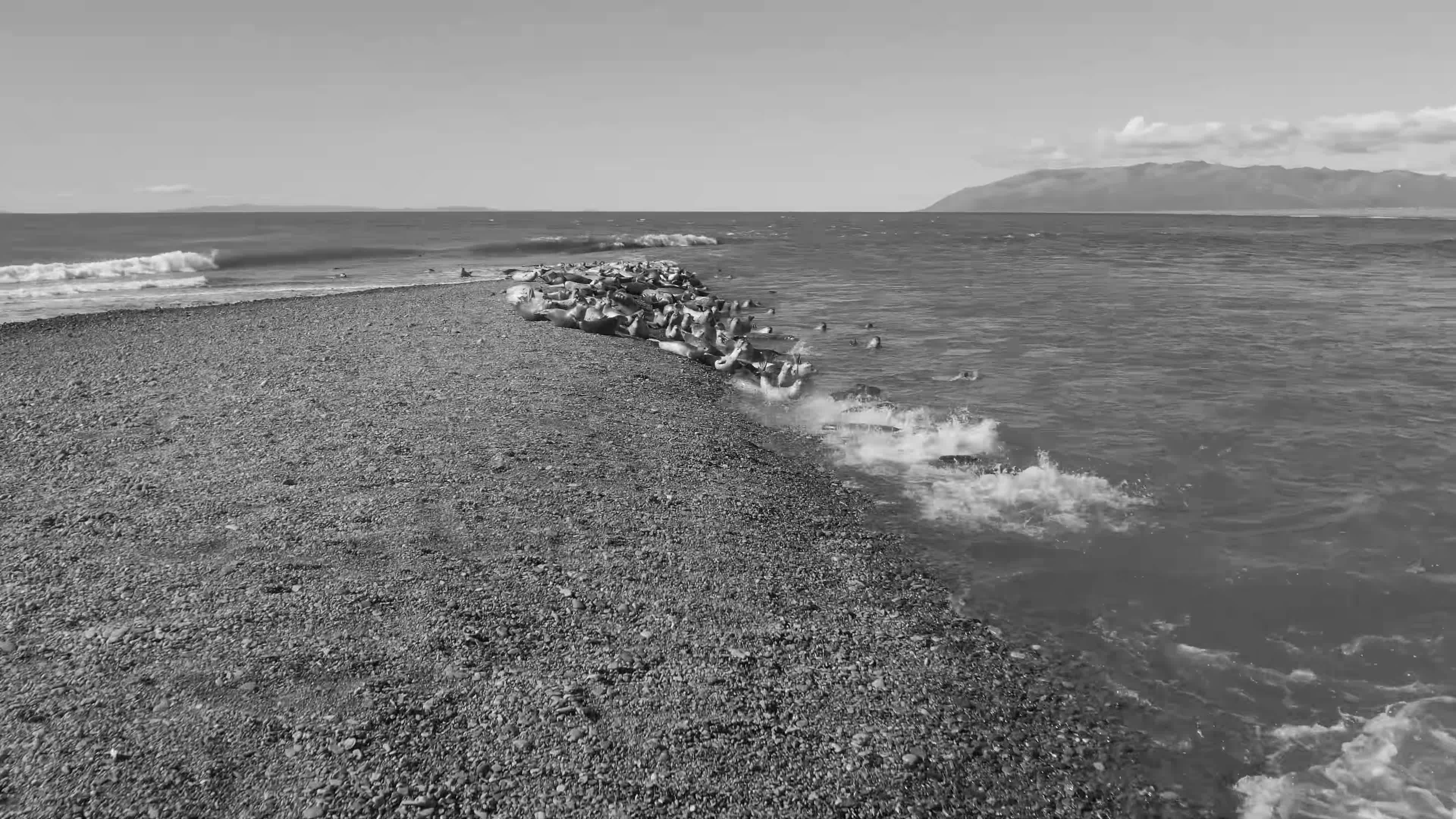 Having Sex At Nude Beach Videos, Download The BEST Free 4k Stock Video Footage & Having Sex At