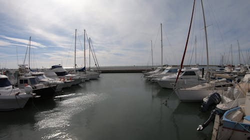 Sailboats Docked On A Marina Bay