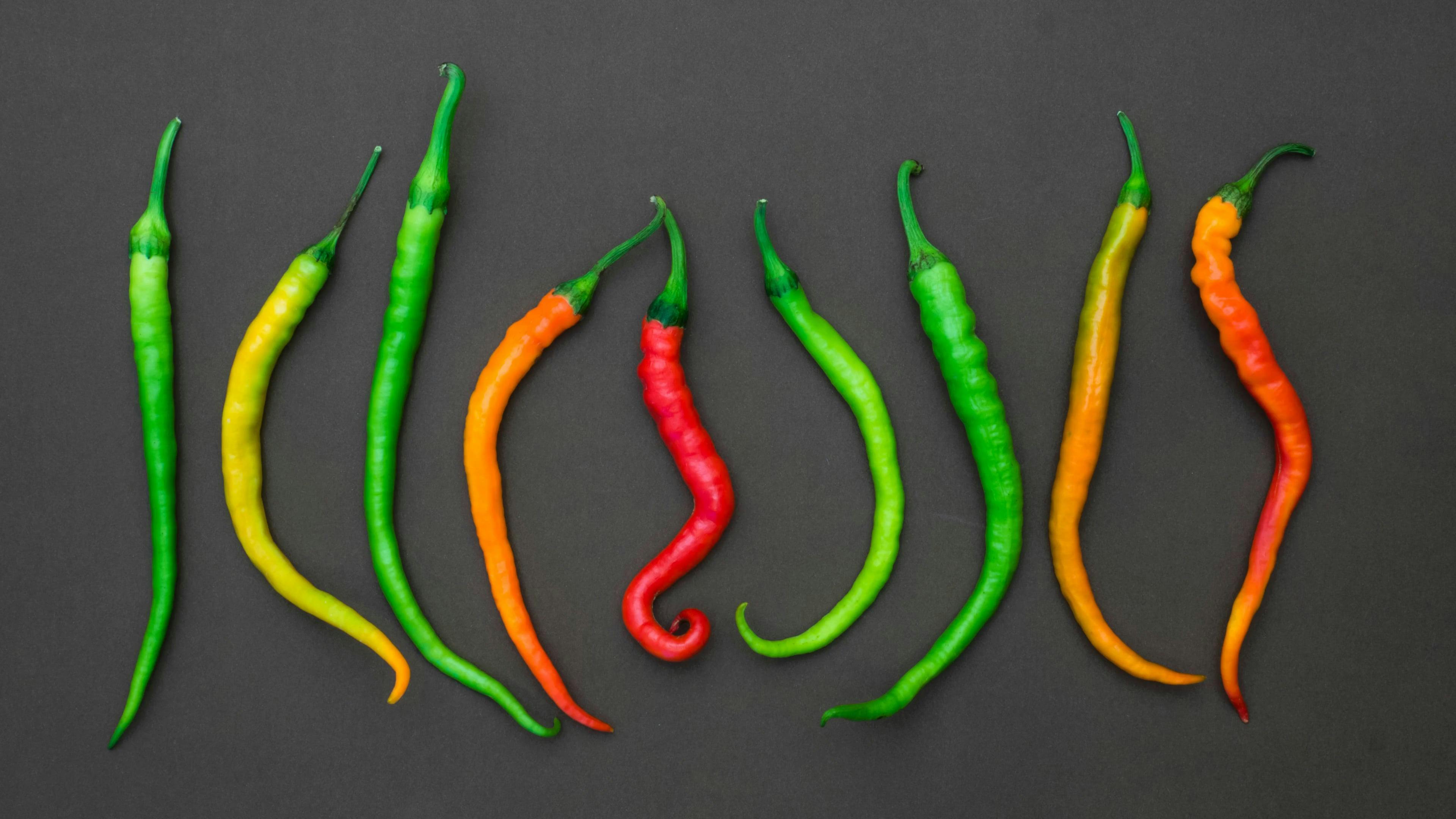 21 619 Best Free Stop Motion 4K Stock Video Footage Royalty Free HD 21 619 Best Free Stop Motion 4K Stock Video Footage Royalty Free HD