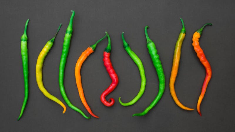 Spicy Tranny Tubes Videos, Download The BEST Free 4k Stock Video