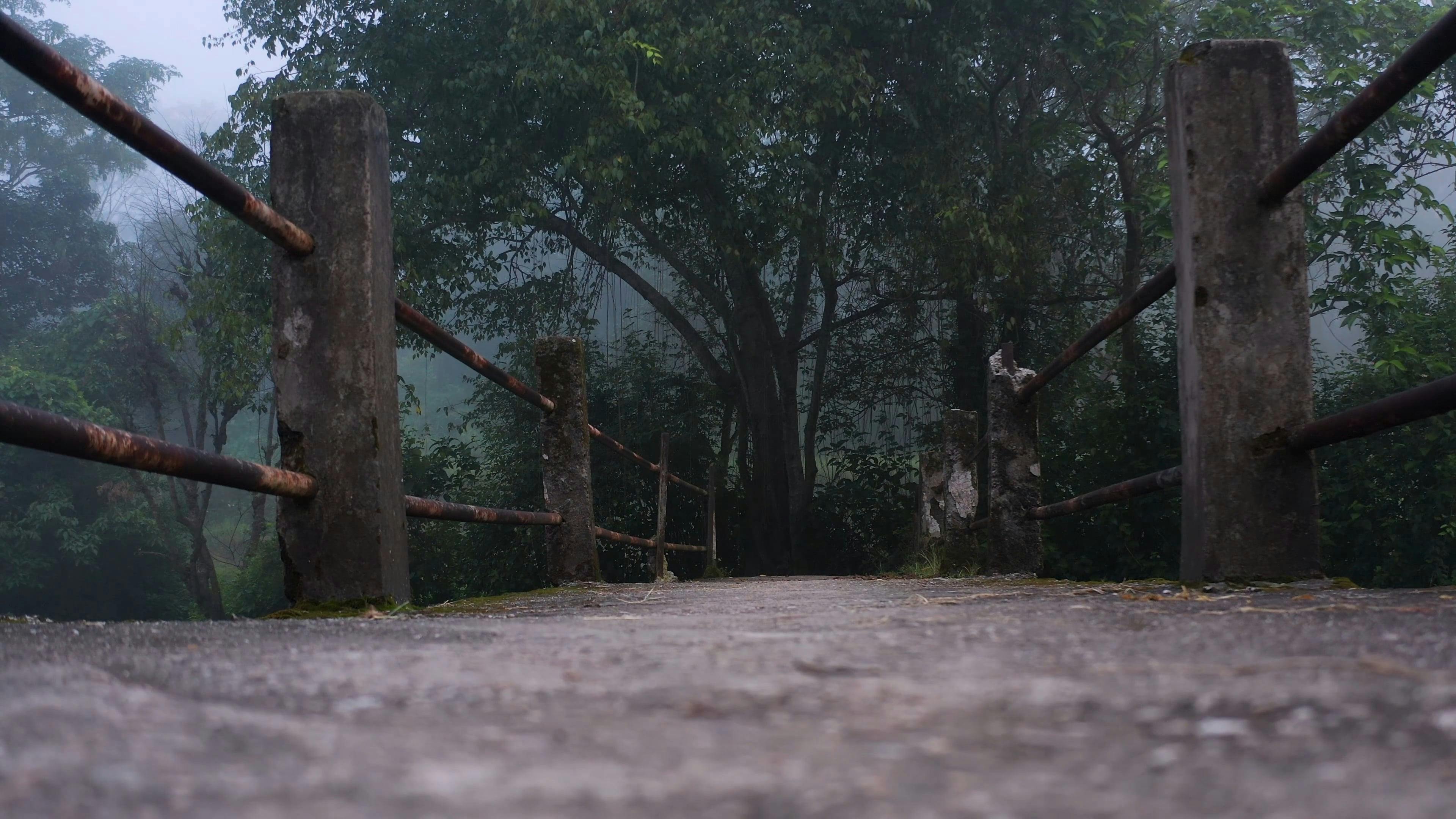 Bridge Exercise Videos, Download The BEST Free 4k Stock Video Footage