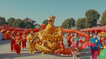 春节免费下载视频素材