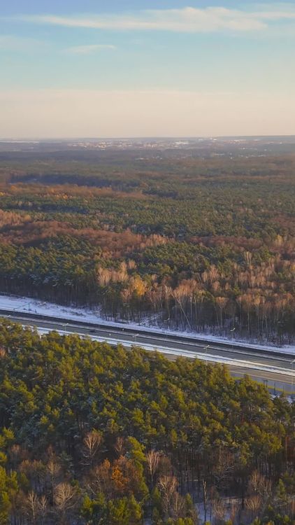 Aerial View of Winter Forest Landscape Free Stock Video Footage ...