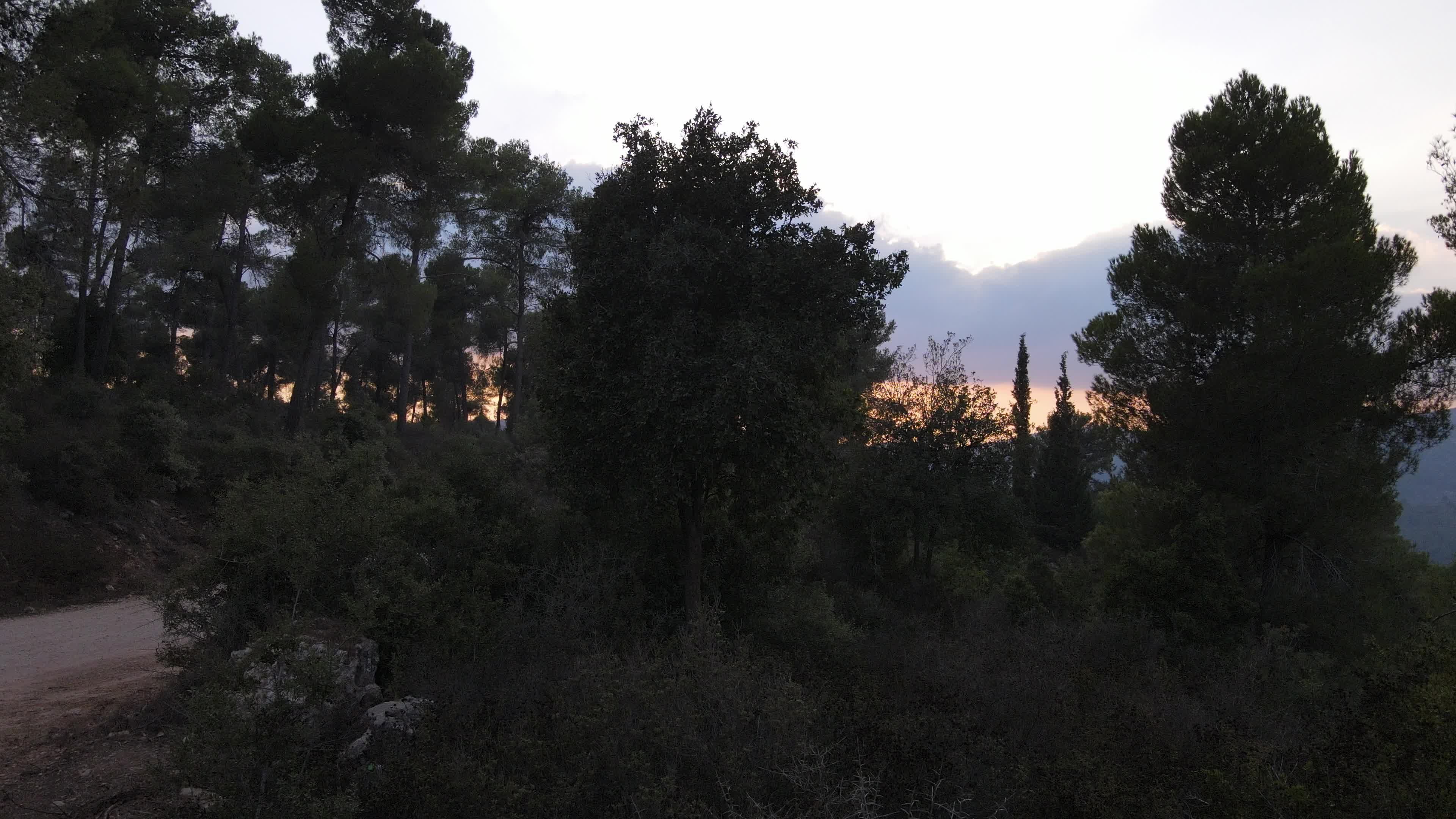 Video by Samir Smier