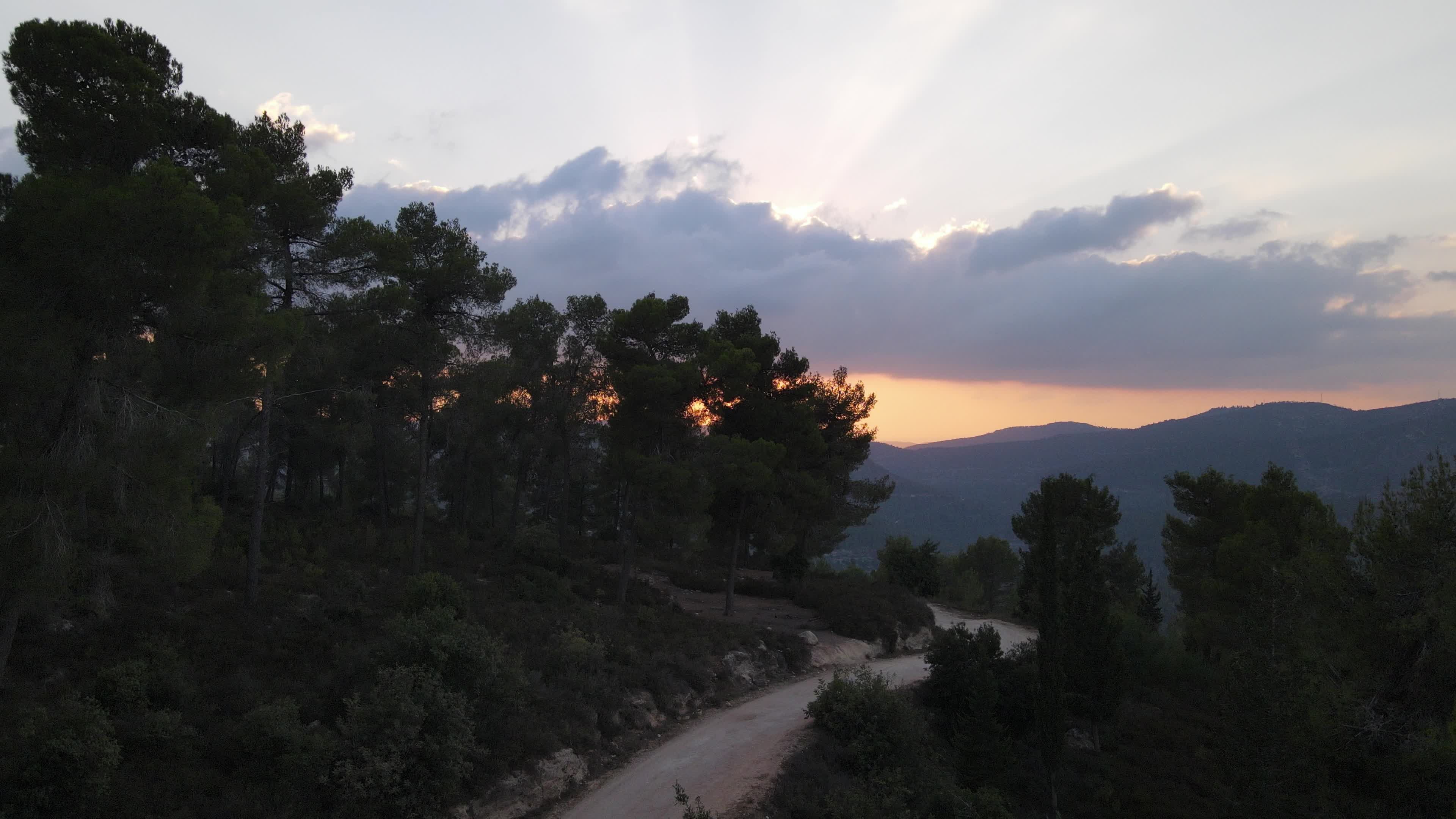 Video by Samir Smier