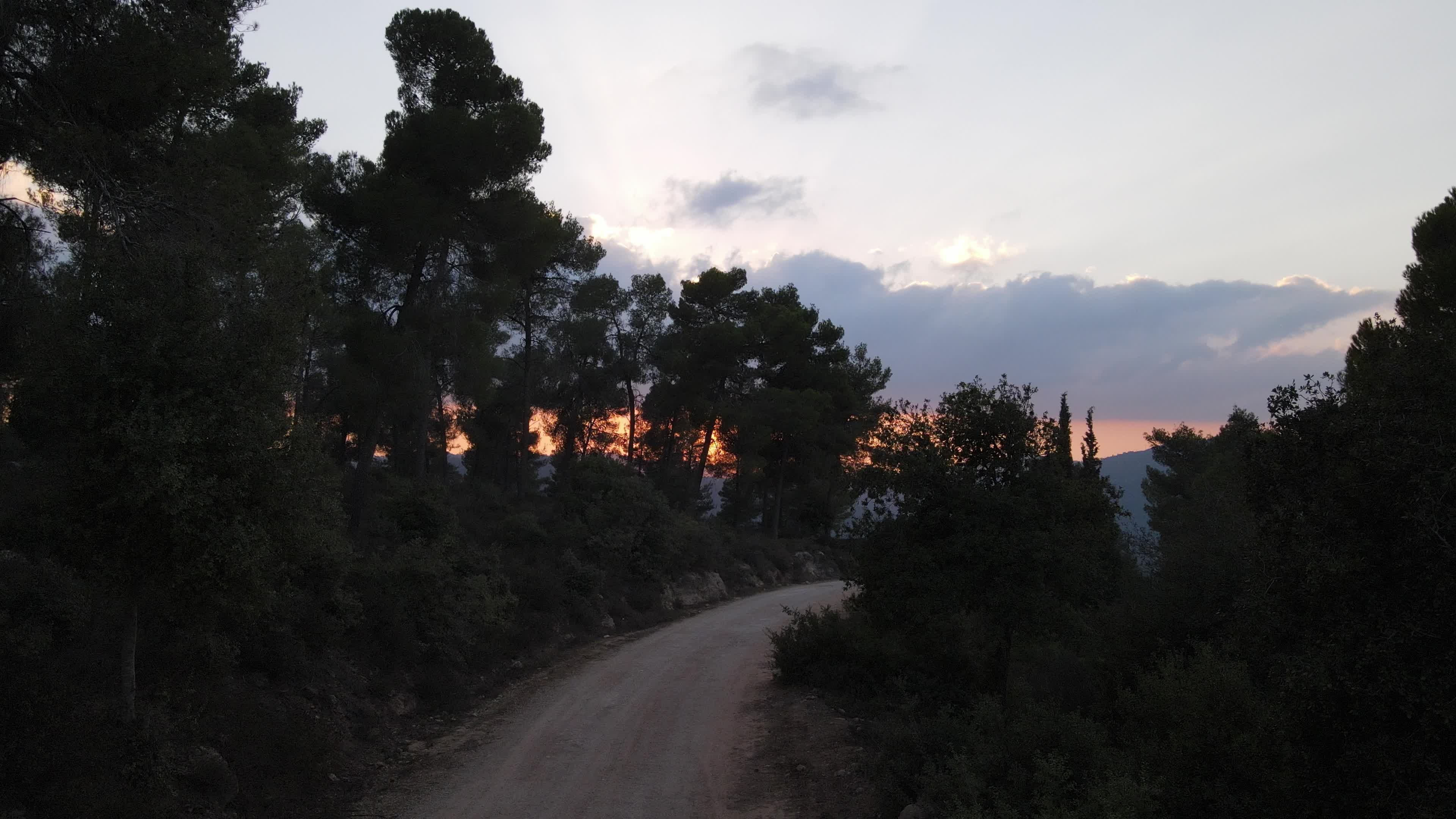 Video by Samir Smier