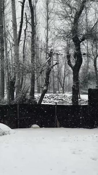 下雪高清视频视频素材