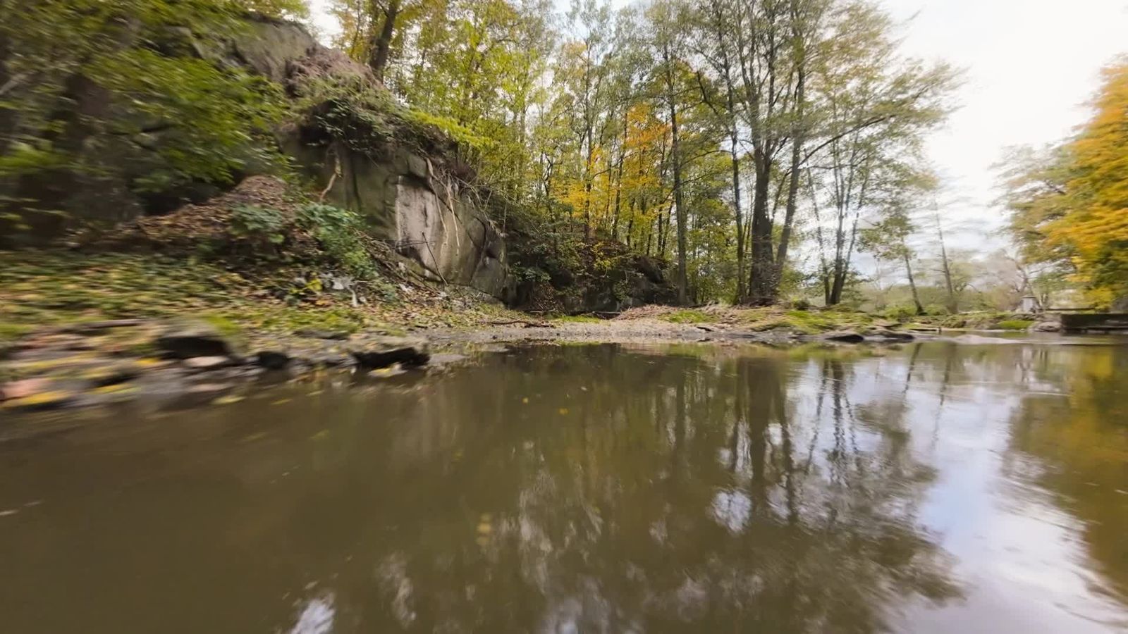 Serene River Flowing Through Lush Forest Free Stock Video Footage ...