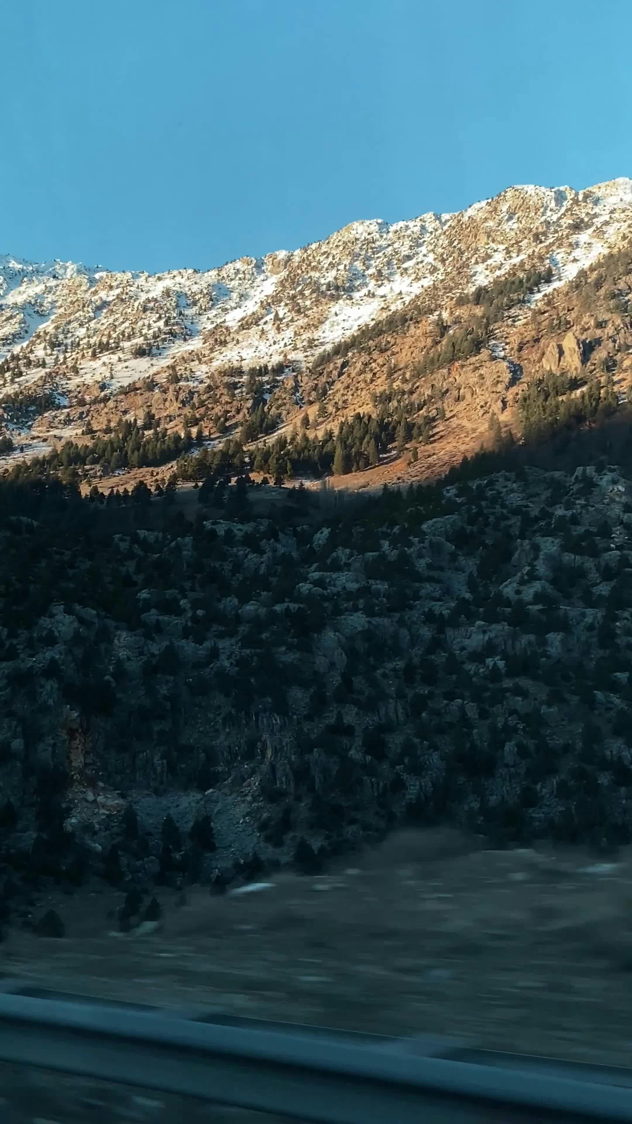 Video by Yağmur Berberoğlu