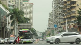 锦州市区驾车免费下载高清视频视频素材视频素材