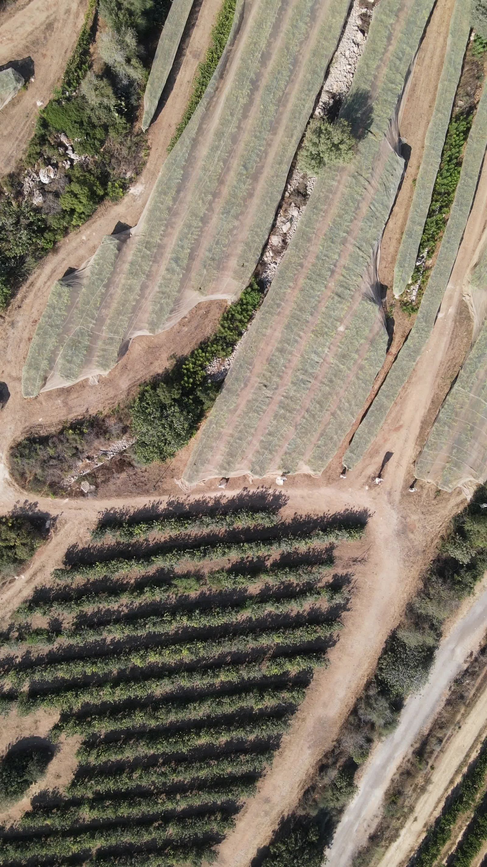 Stunning Aerial View of Terraced Farming Fields Free Stock Video ...