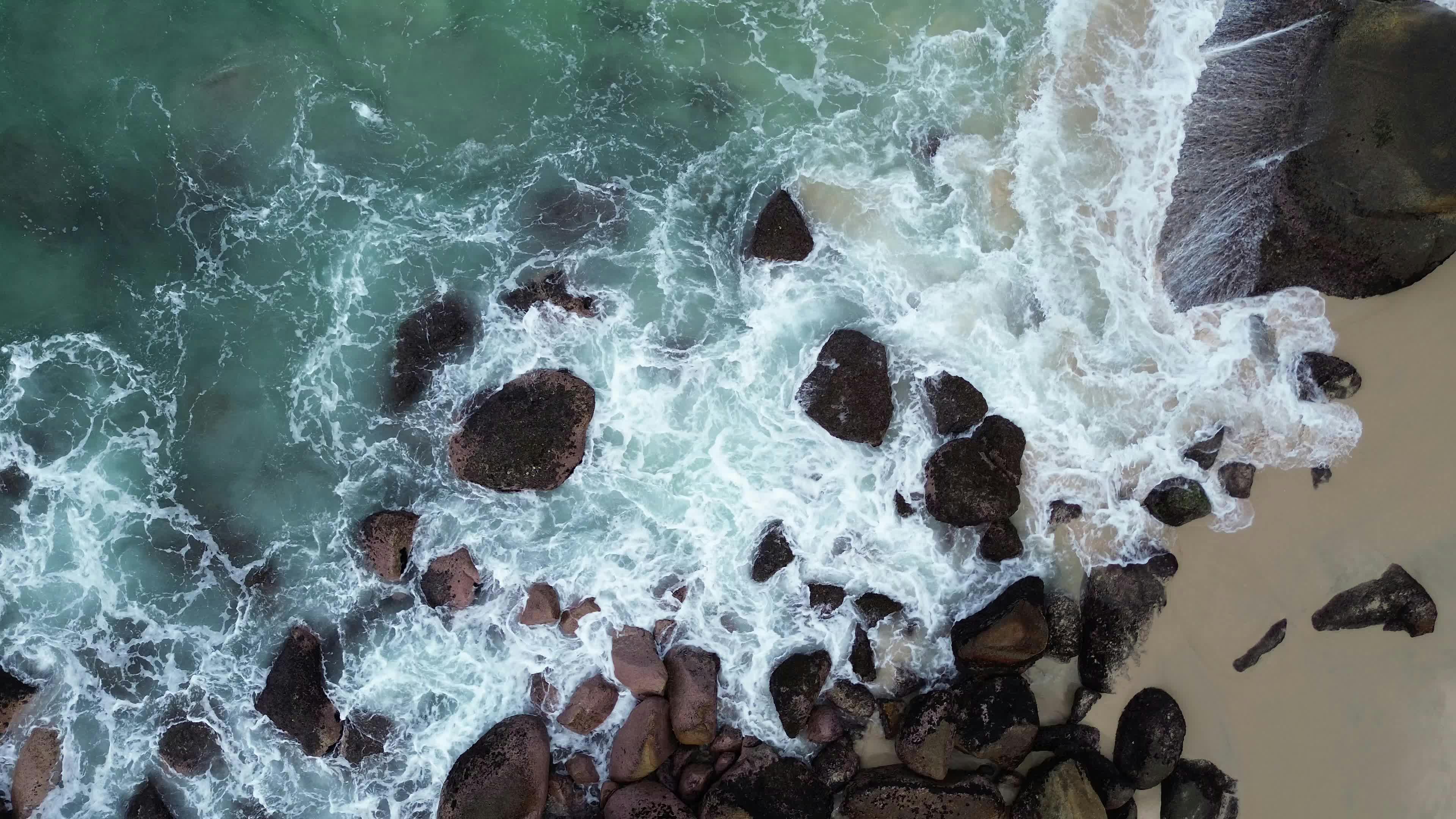 Video by Ricky Ortega