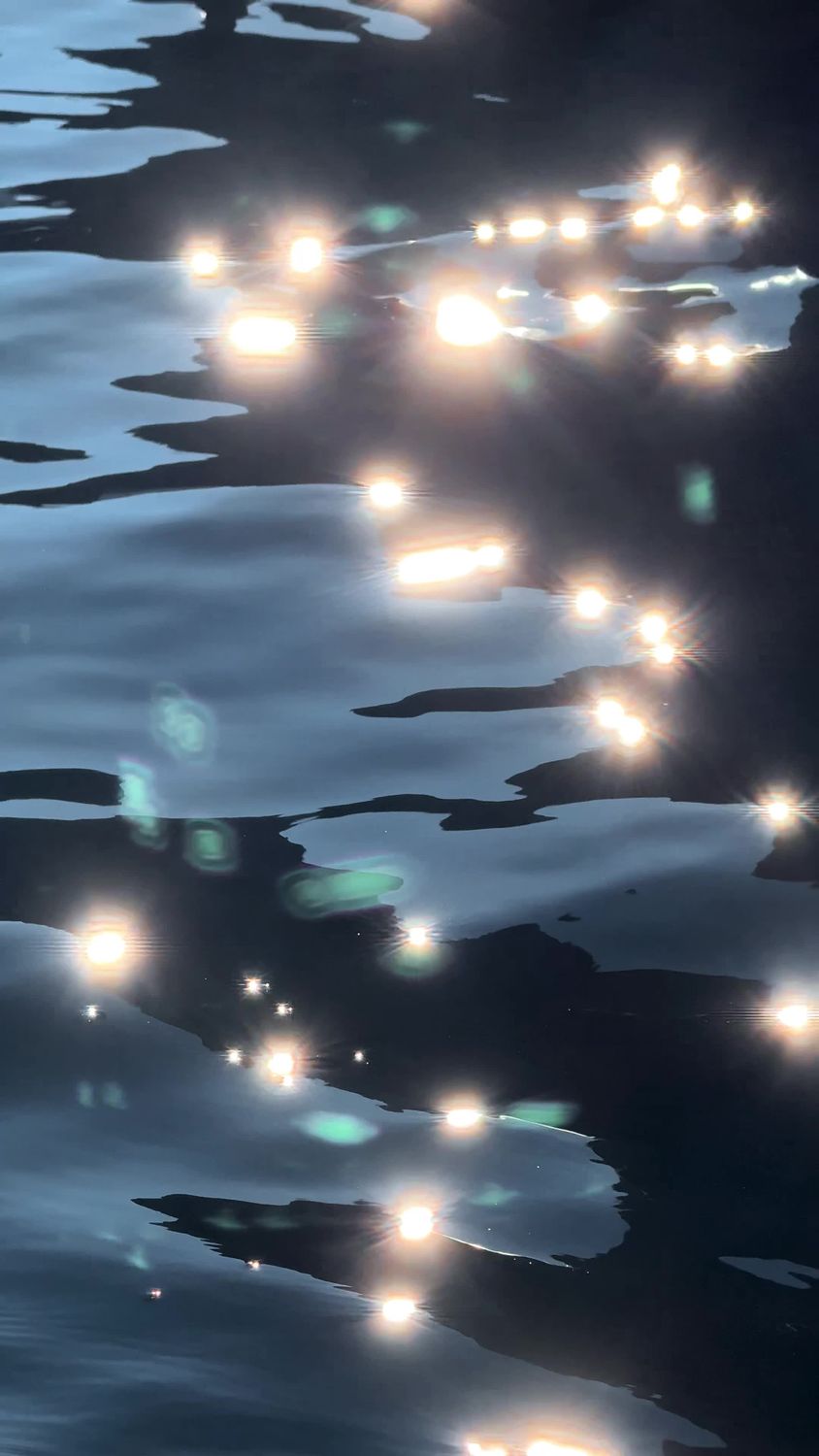 Sparkling Sunlight on Calm Water Surface Free Stock Video Footage ...