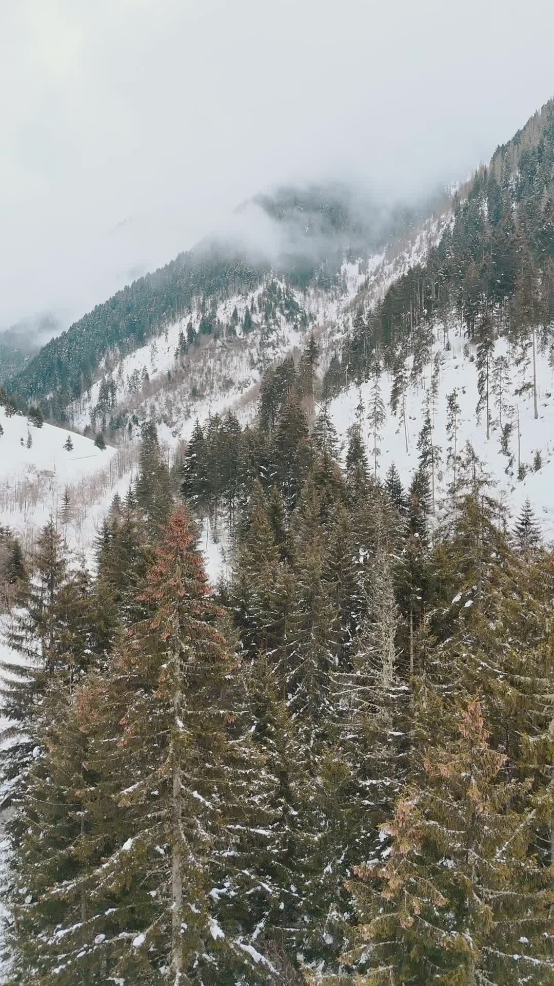 Aerial View of Snowy Winter Mountain Landscape Free Stock Video Footage ...