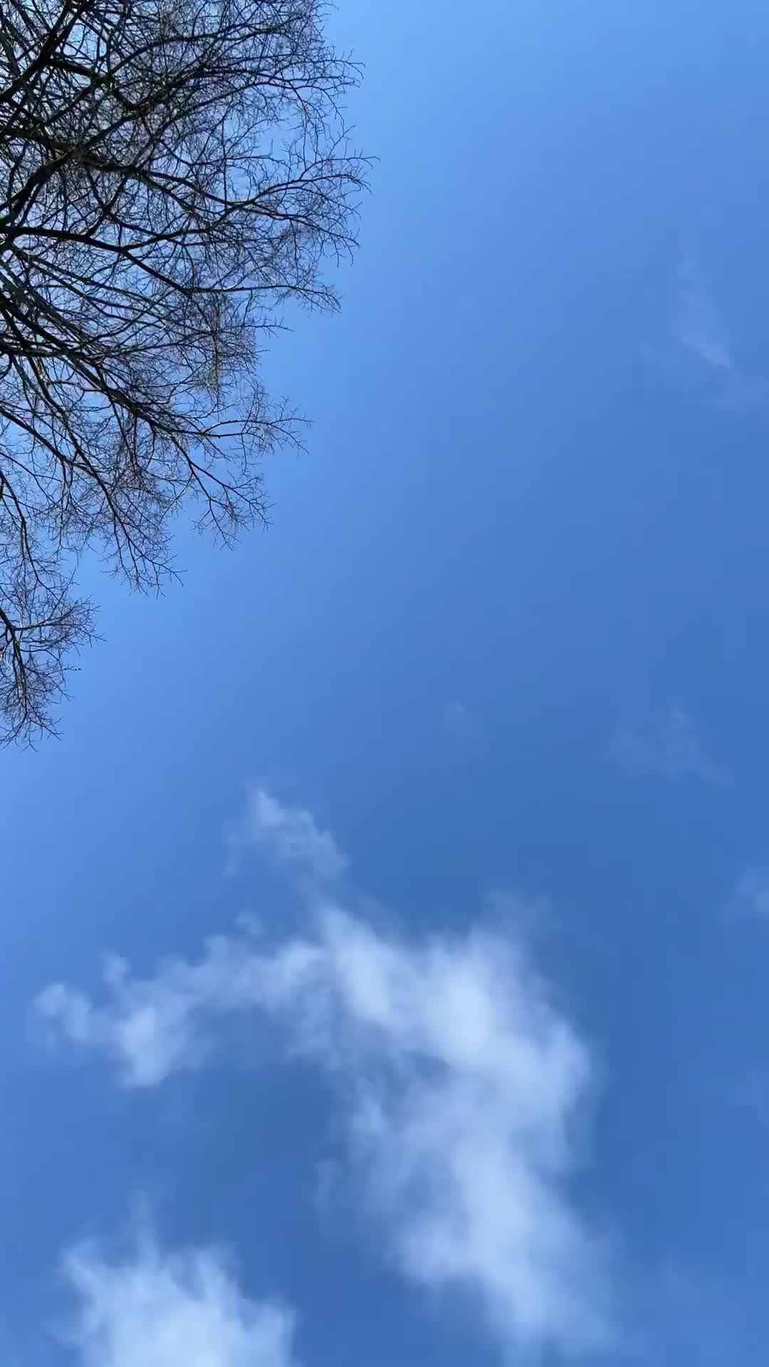 Video by Bav Vadgama