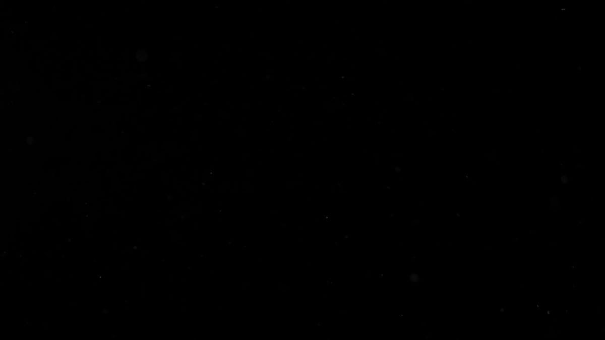 20,000+ Best Black Background Videos · 100 Free Download · Pexels