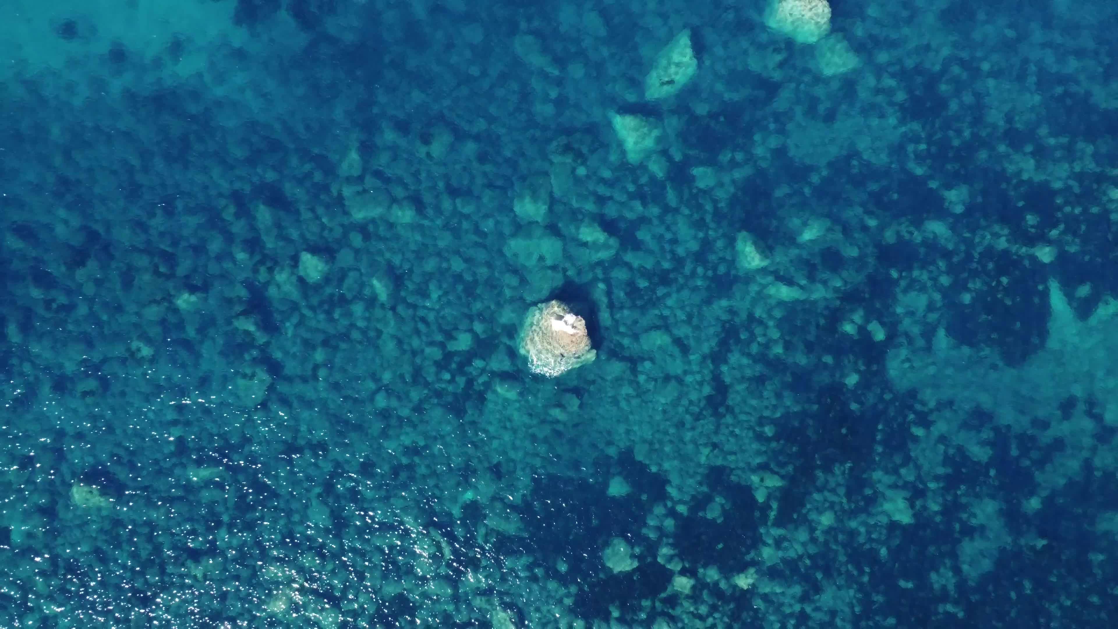 Video by sayari bechir