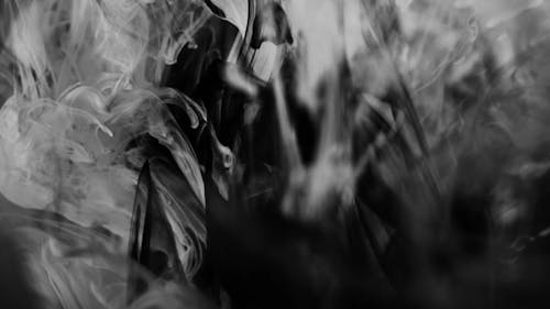 Image Abstraite D'une Encre Noir Et Blanc