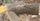 log