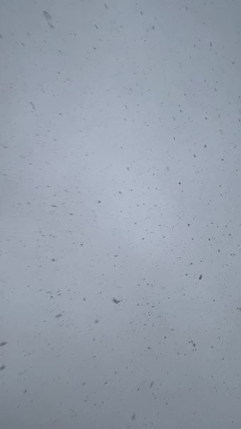 下雪高清视频视频素材视频素材