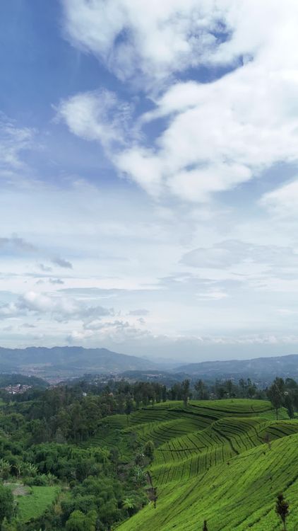 Drone View of Lush Green Terraced Fields Free Stock Video Footage ...