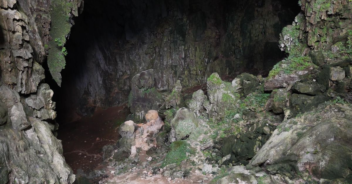 Cave Video Mystical Vietnamese Cave Exploration Footage Free Stock Video Footage ...