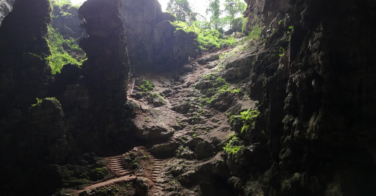 Cave Video Majestic Cave Entrance with Lush Foliage Free Stock Video Footage ...