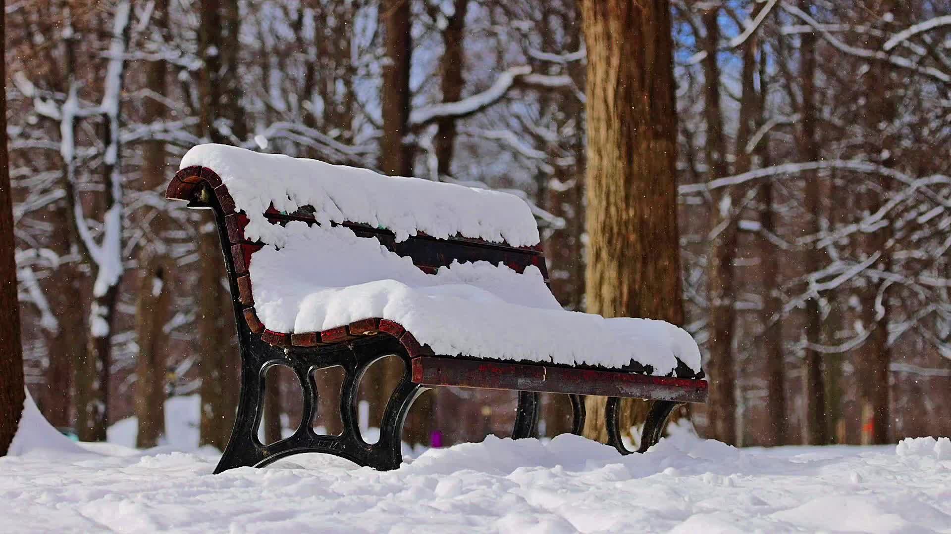 Snow-covered park bench in serene winter forest Free Stock Video ...