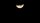 dark moon