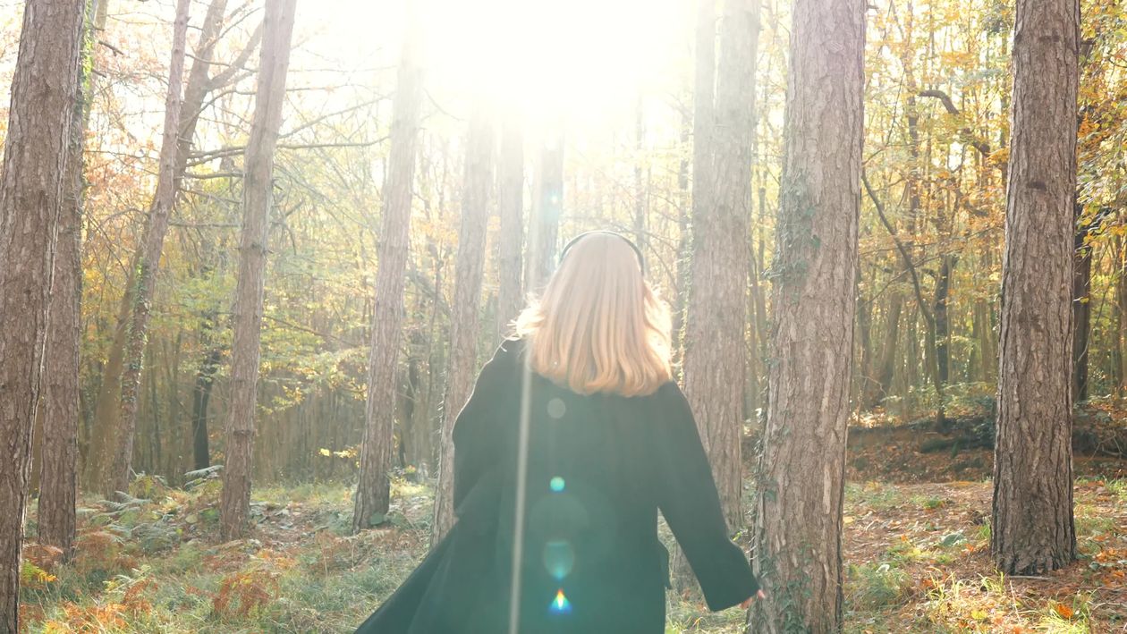 Woman Walking Through Sunlit Autumn Forest Free Stock Video Footage ...