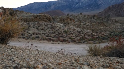 Un Hombre Caminando En El Desierto