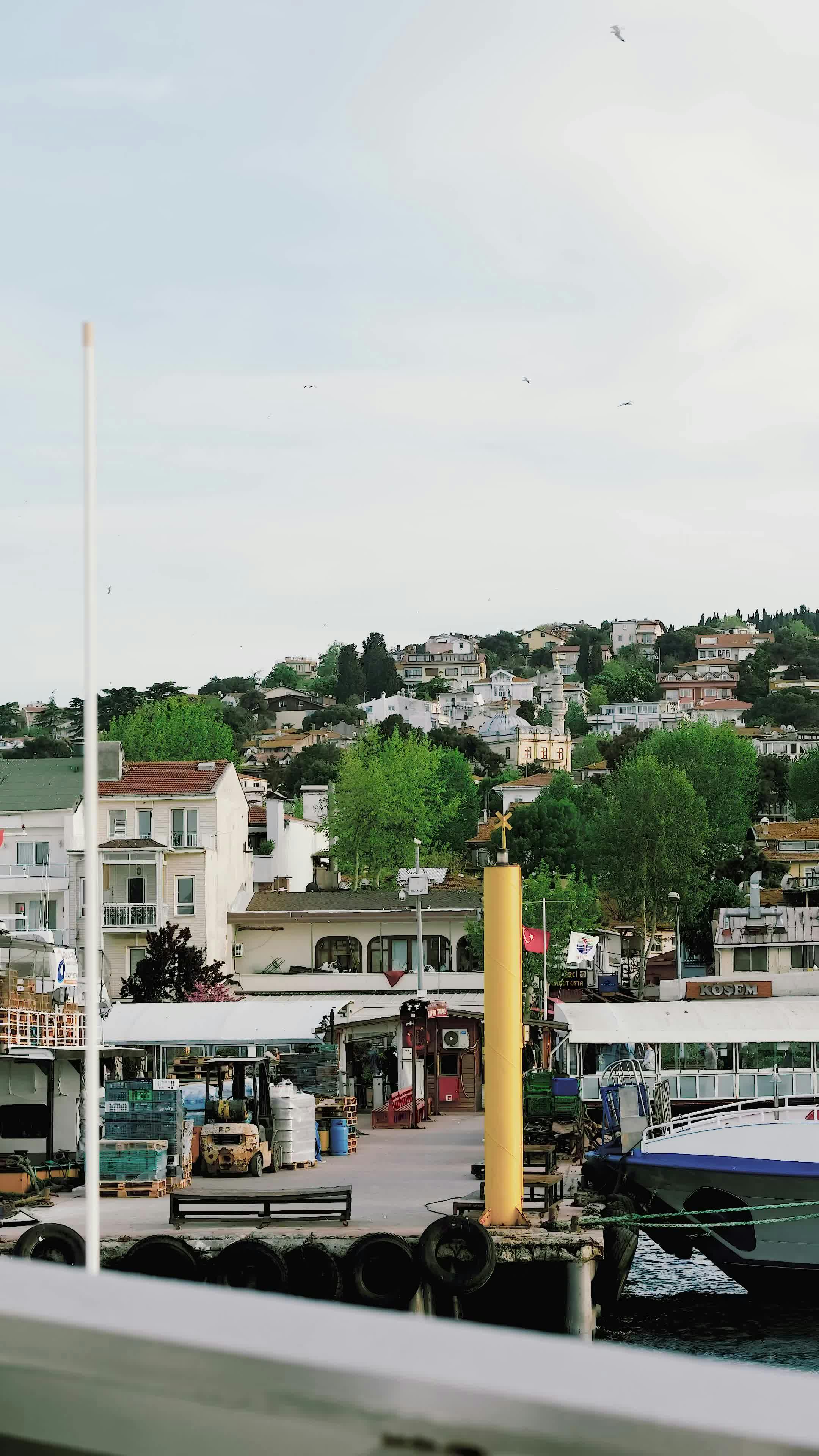 Video by Ayşegül Delice